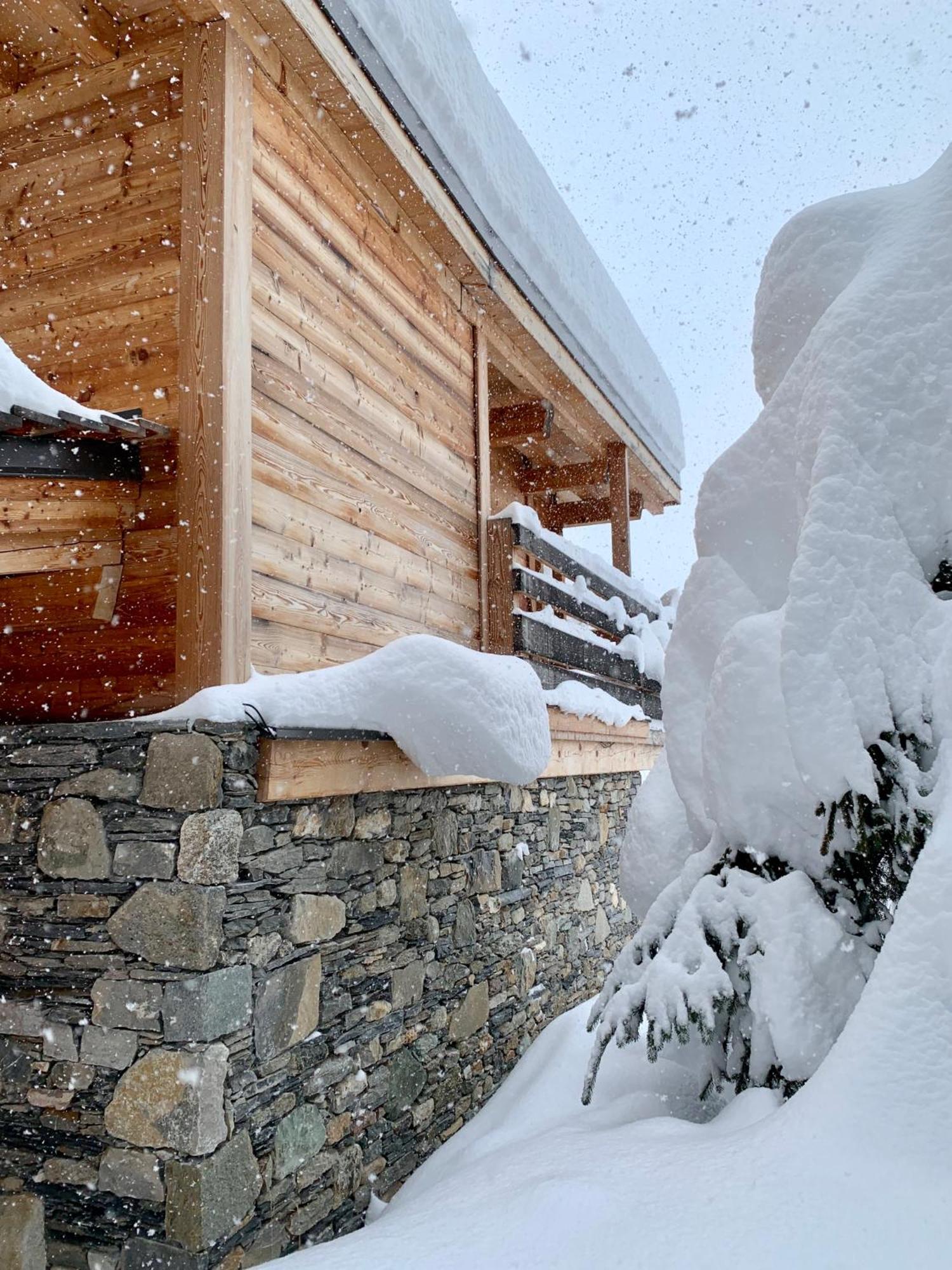 הוילה La Plagne-Tarentaise Chalet 1969 - Plagne Centre, Hameau De La Foret - Coeur Du Domaine - Altitude 2050M מראה חיצוני תמונה